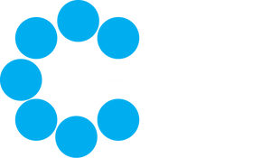 Chipex IT